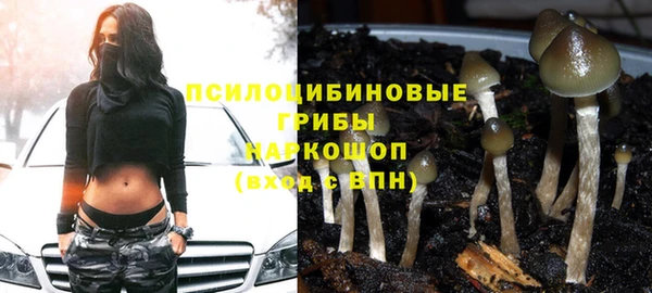 прущая мука Белокуриха