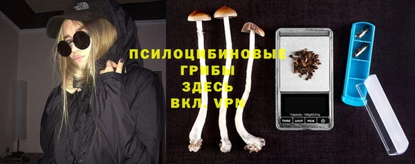 прущая мука Белокуриха