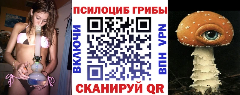 Псилоцибиновые грибы Cubensis  Купить где  Курлово 